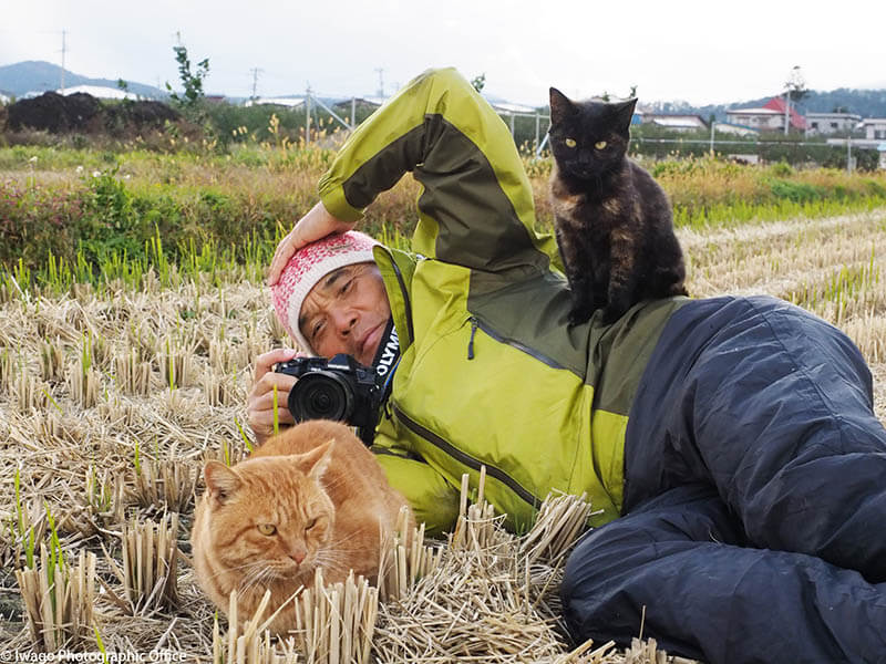 写真展「岩合光昭の世界ネコ歩き 2」 角川武蔵野ミュージアム-2