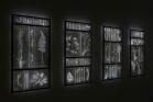 コレクション展　グラスアート：三つのフローラ 富山市ガラス美術館-1