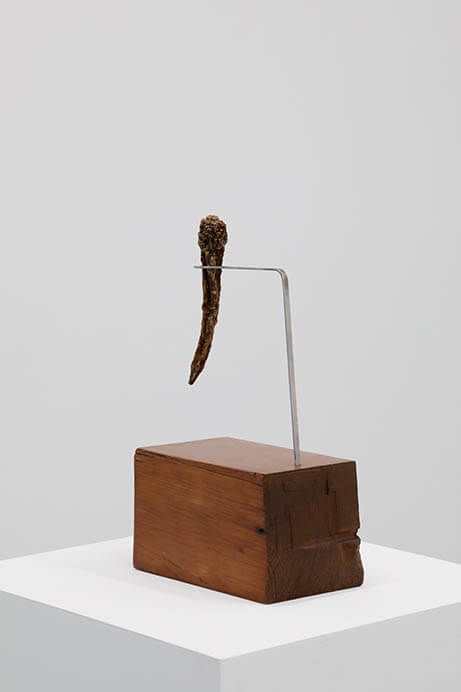 アーティスト・プロジェクト#2.06 髙橋銑 いき、またいきるまで 埼玉県立近代美術館-1