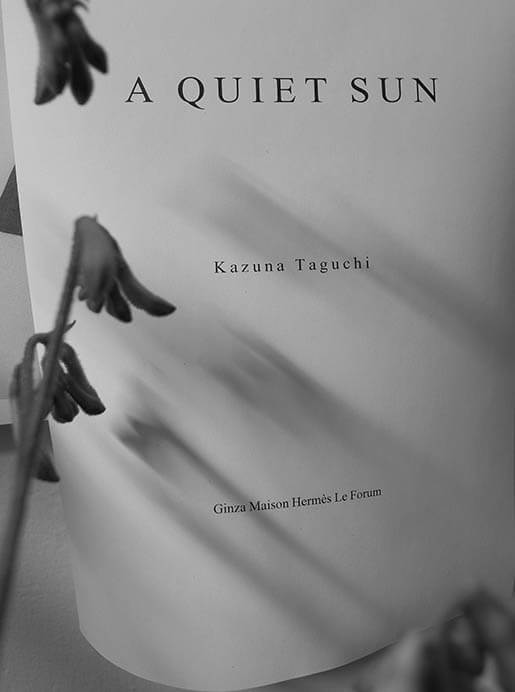 「A Quiet Sun」田口和奈展 銀座メゾンエルメス フォーラム-2