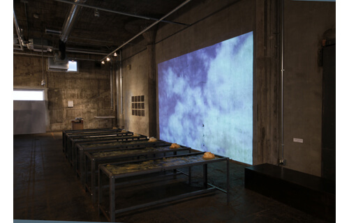 「よく見る夢－海辺・異国」 勝又豊子展 奈義町現代美術館-2