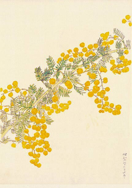辻 永 ふたつの顔を持つ画家 ―油彩と植物画― 茨城県近代美術館-7