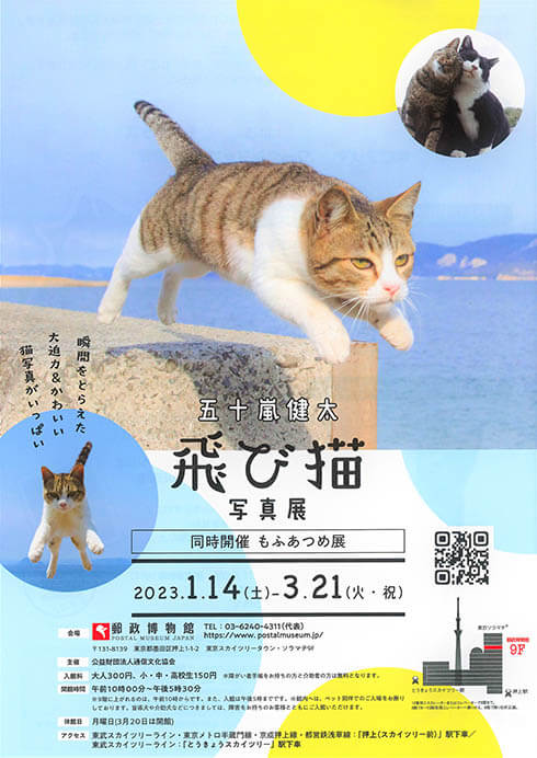 五十嵐健太 飛び猫写真展　同時開催　もふあつめ展 郵政博物館-2