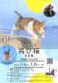 五十嵐健太 飛び猫写真展　同時開催　もふあつめ展 郵政博物館-1