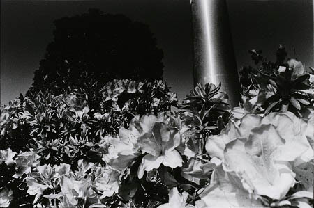 深瀬昌久　1961-1991　レトロスペクティブ 東京都写真美術館-9