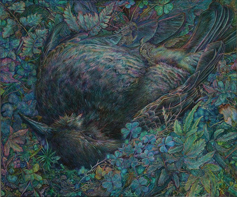 FACE展2024 SOMPO美術館-6