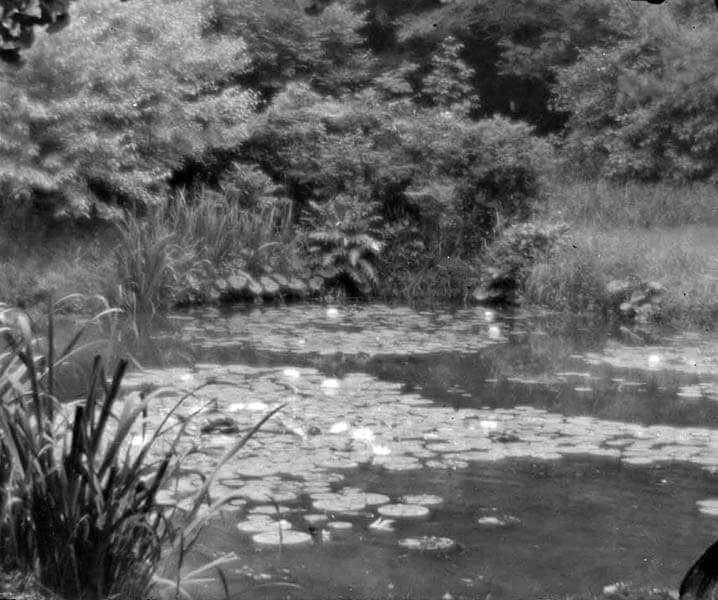 2022年度 コレクション展第4期 新潟県立近代美術館-6