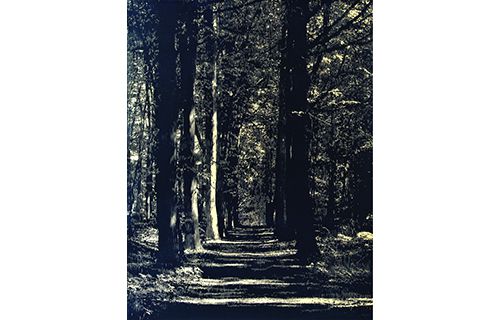 はんがのけしき－浮世絵・新版画・現代版画－ 静岡市東海道広重美術館-7