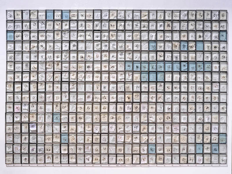 中村屋サロン アーティストリレー 第5回 宮森敬子(みやもりけいこ)展