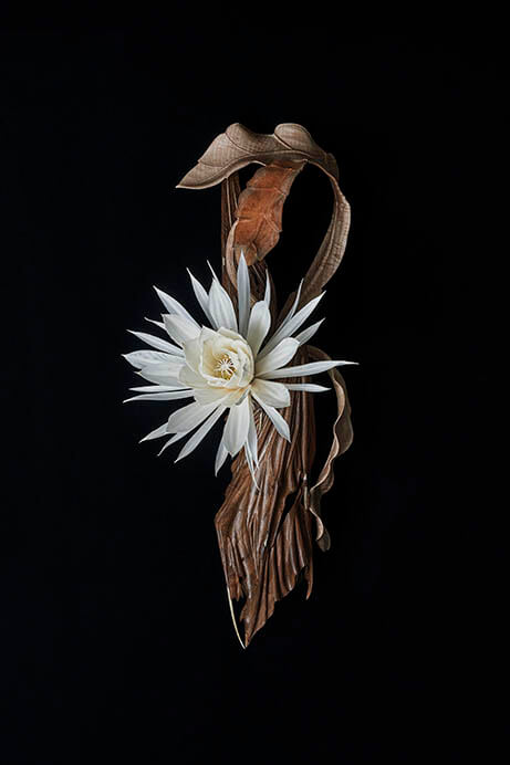 超絶技巧、未来へ！　 明治工芸とそのDNA あべのハルカス美術館-3