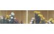 開館50周年記念特別展 速水御舟の全貌 －日本画の破壊と創造－ 山種美術館-1