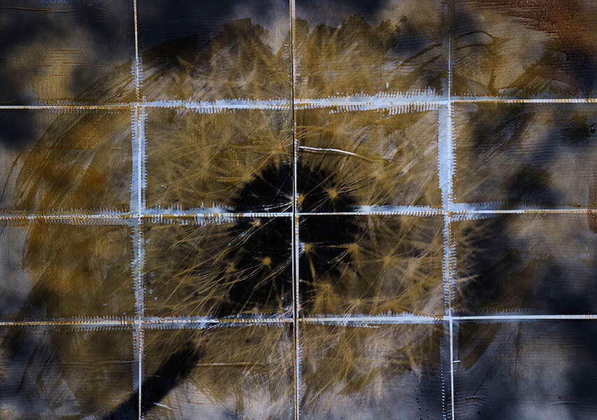 山口聡一郎　～ニュー・ネイチャー～ 奈義町現代美術館-1