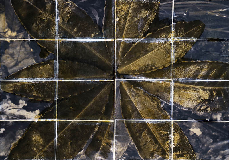 山口聡一郎　～ニュー・ネイチャー～ 奈義町現代美術館-2