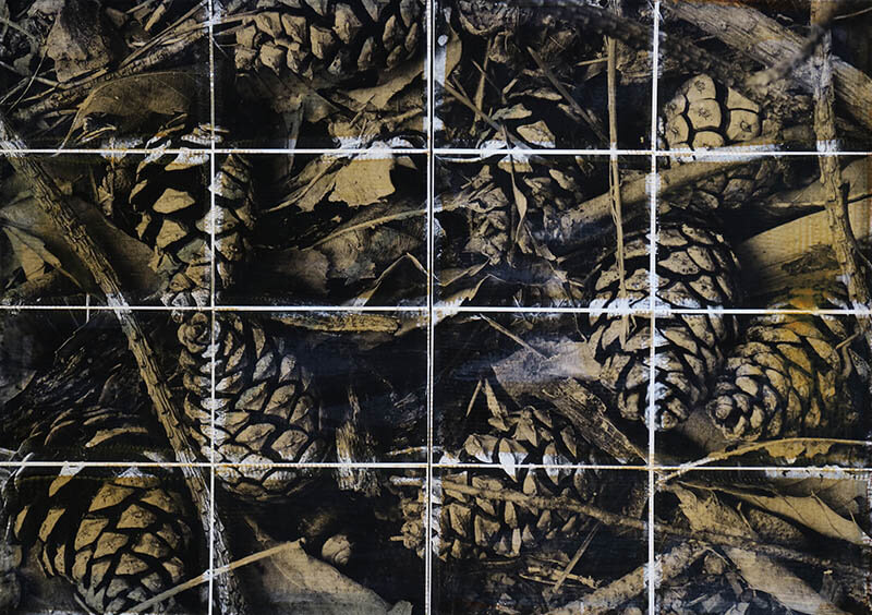 山口聡一郎　～ニュー・ネイチャー～ 奈義町現代美術館-8