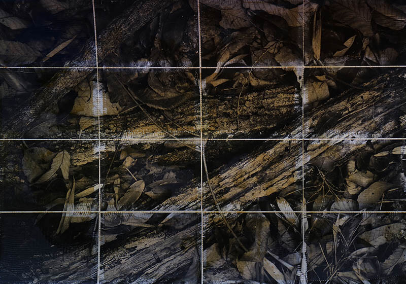 山口聡一郎　～ニュー・ネイチャー～ 奈義町現代美術館-9