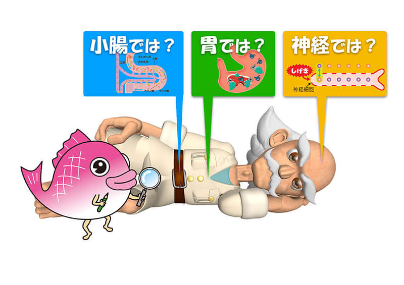 第44回夏休み塩の学習室　なにしてる？からだの中の塩 たばこと塩の博物館-3