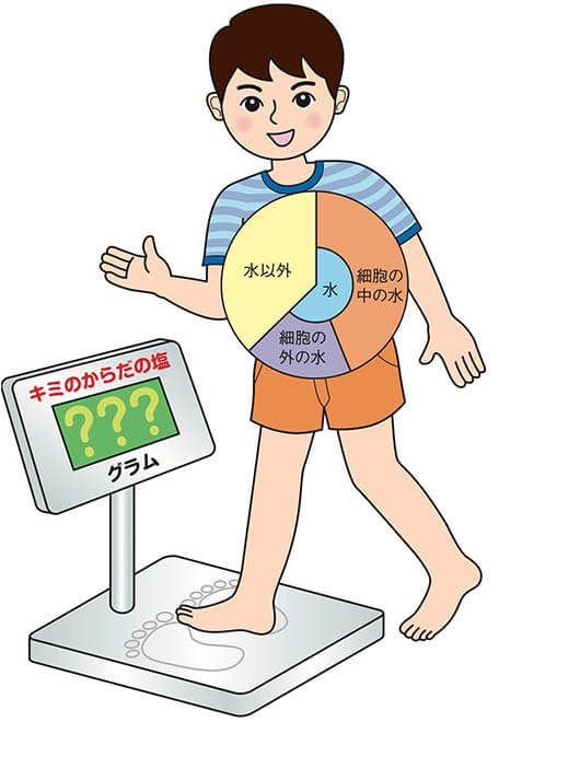 第44回夏休み塩の学習室　なにしてる？からだの中の塩 たばこと塩の博物館-5