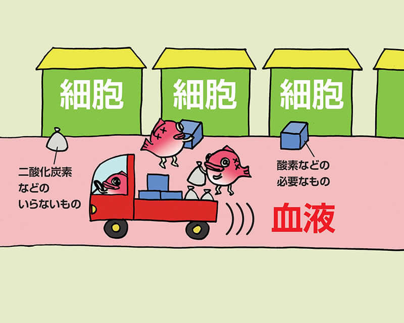 第44回夏休み塩の学習室　なにしてる？からだの中の塩 たばこと塩の博物館-2