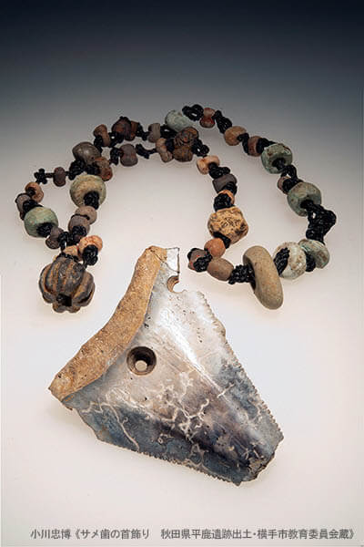 特別展 縄文　小川忠博写真展 秋田県立近代美術館-3