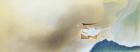 【特別展】 小林古径 生誕140年記念　小林古径と速水御舟 ―画壇を揺るがした二人の天才― 山種美術館-1