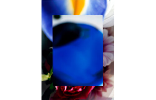 写真新世紀 東京展 2016 東京都写真美術館-6