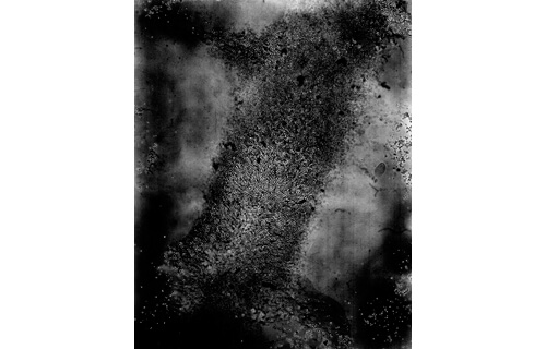 写真新世紀 東京展 2016 東京都写真美術館-7