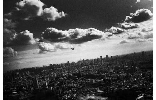 総合開館20周年記念　東京・TOKYO　日本の新進作家 vol.13 東京都写真美術館-1