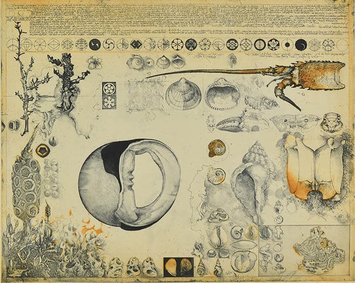 新収蔵作品展Present for You わたしからあなたへ／みんなから未来へ 町田市立国際版画美術館-4