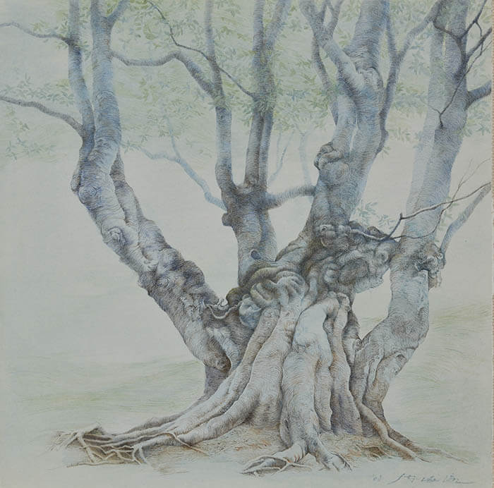 新収蔵作品展Present for You わたしからあなたへ／みんなから未来へ 町田市立国際版画美術館-8