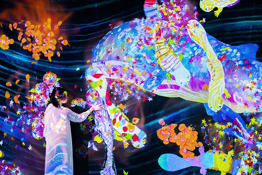 STV創立65周年記念  チームラボ 学ぶ！未来の遊園地と、花と共に生きる動物たち 札幌芸術の森美術館-6