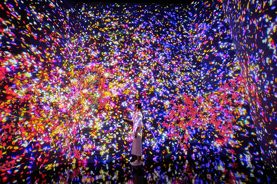 STV創立65周年記念  チームラボ 学ぶ！未来の遊園地と、花と共に生きる動物たち 札幌芸術の森美術館-2