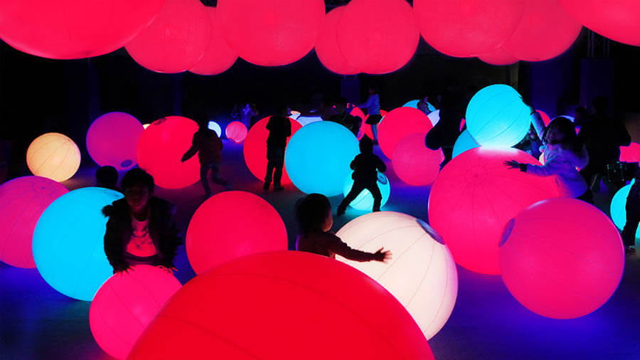 STV創立65周年記念  チームラボ 学ぶ！未来の遊園地と、花と共に生きる動物たち 札幌芸術の森美術館-11