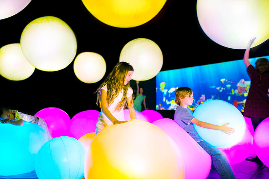 STV創立65周年記念  チームラボ 学ぶ！未来の遊園地と、花と共に生きる動物たち 札幌芸術の森美術館-12