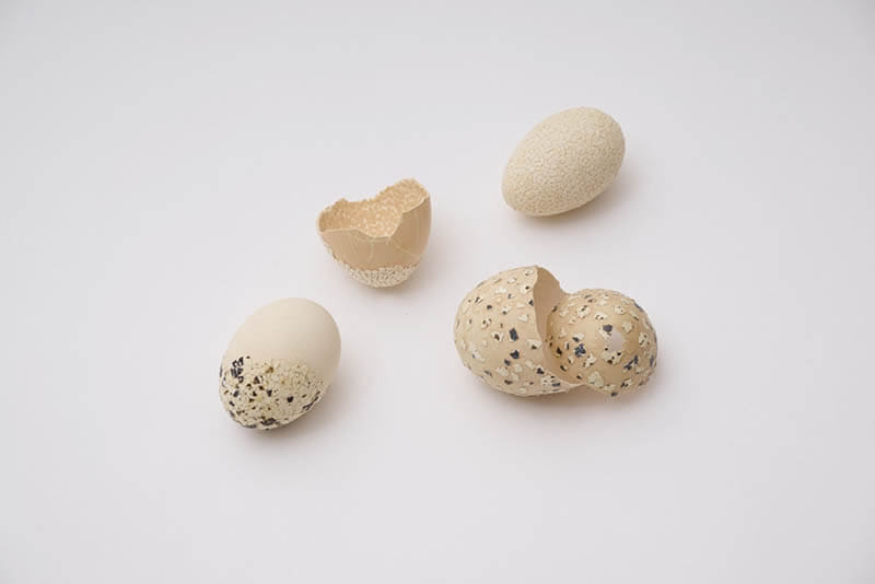 豊嶋康子 発生法──天地左右の裏表 東京都現代美術館-8