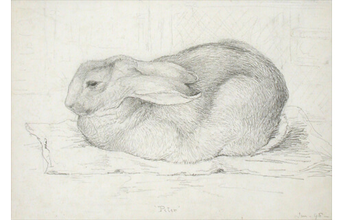 ビアトリクス・ポター™生誕150周年　ピーターラビット™展 福岡県立美術館-4