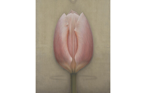 クインテットⅢ－五つ星の作家たち SOMPO美術館-1