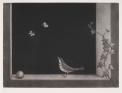 特別展示：長谷川潔 銅版画の世界 群馬県立近代美術館-1