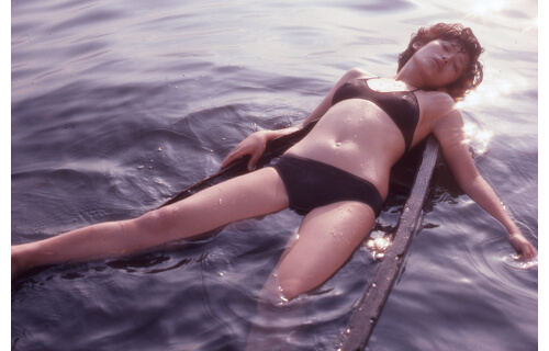 篠山紀信展 写真力 横浜美術館-3