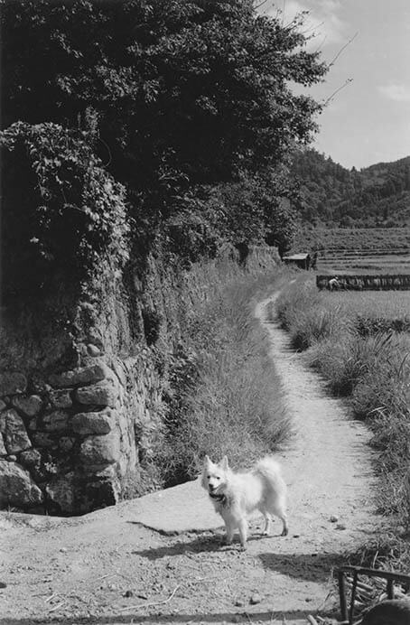 入江泰吉写真展「大和の路」 入江泰吉記念奈良市写真美術館-2