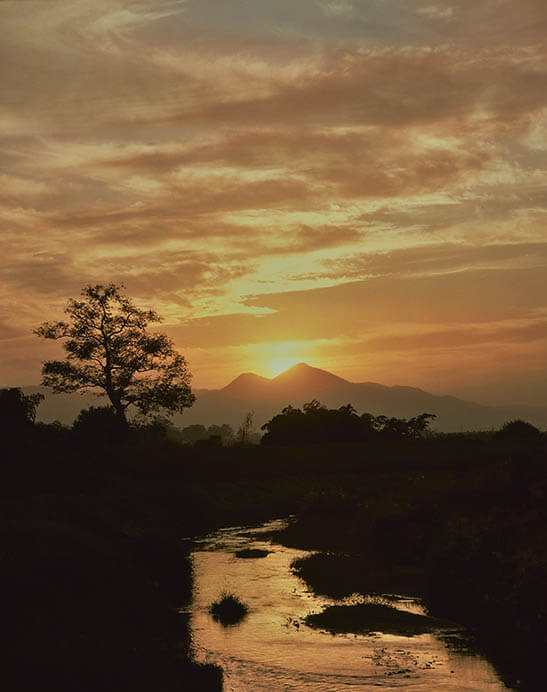 入江泰吉写真展「大和の路」 入江泰吉記念奈良市写真美術館-4