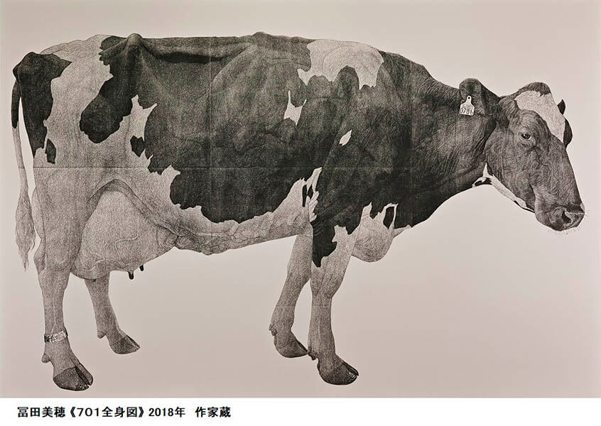 上野アーティストプロジェクト2023 いのちをうつす ―菌類、植物、動物、人間 東京都美術館-6
