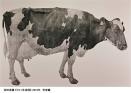 上野アーティストプロジェクト2023 いのちをうつす ―菌類、植物、動物、人間 東京都美術館-1