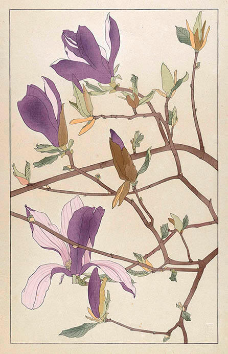 レトロ・モダン・おしゃれ　杉浦非水の世界 ヤマザキマザック美術館-10