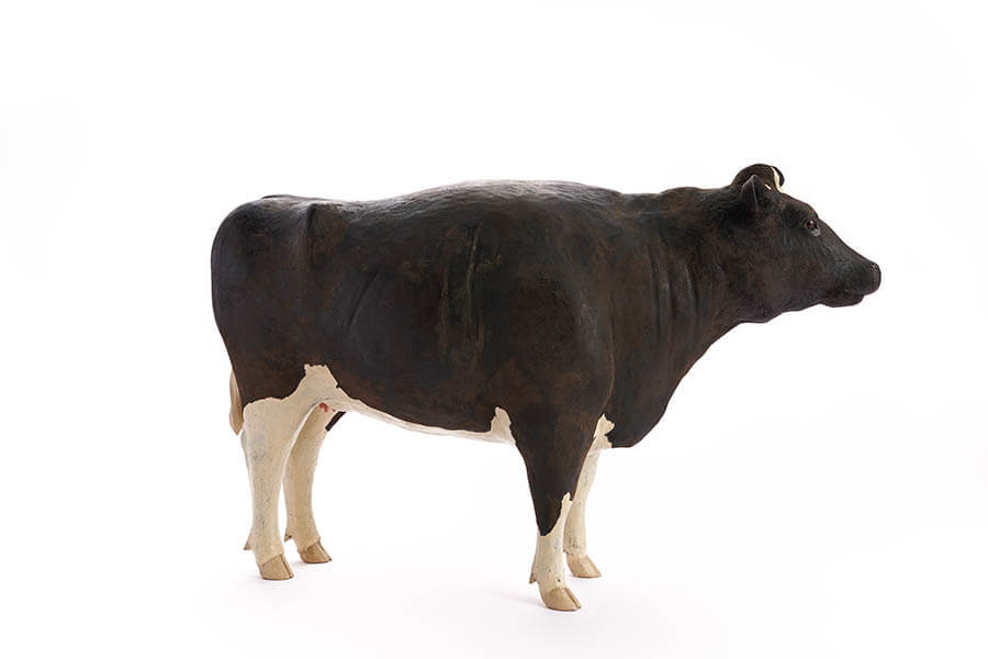 どうぶつ と はなし －大曽根俊輔　乾漆彫刻展 太田市美術館・図書館-5