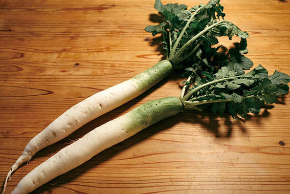 「みんなのキンビ」プロジェクト第1弾　からだじゅう で あじわう 大根ビネーション展 秋田県立近代美術館-3