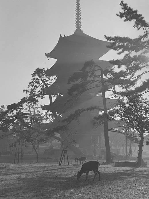 世界遺産登録25周年記念　入江泰吉「約70年前の古都奈良の貌（かお）」 入江泰吉記念奈良市写真美術館-3