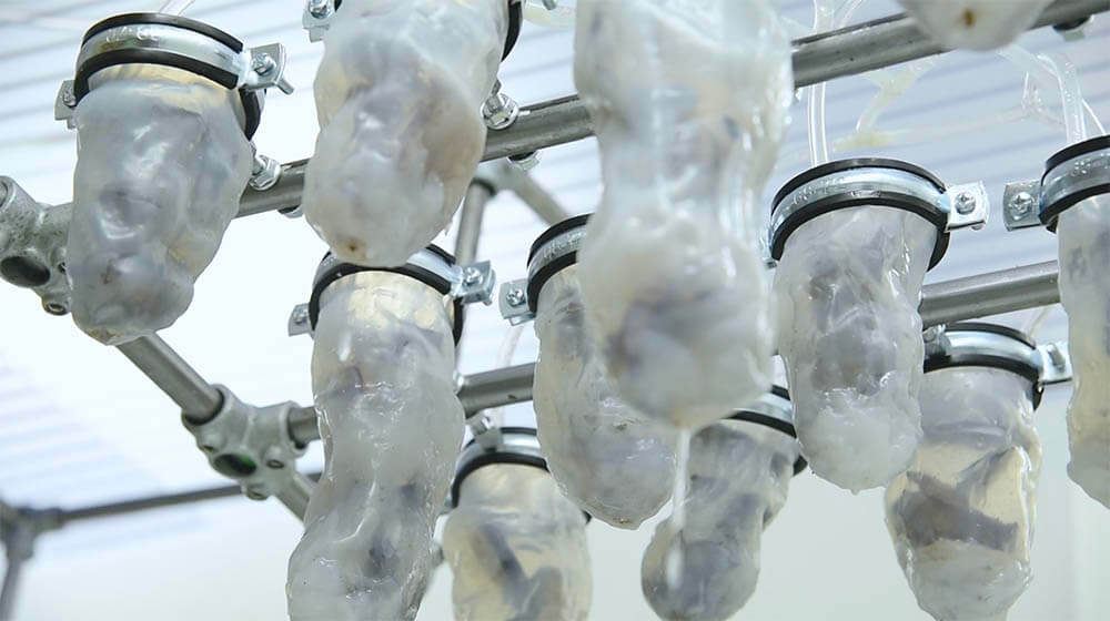 Ground Zero 京都芸術センター-6