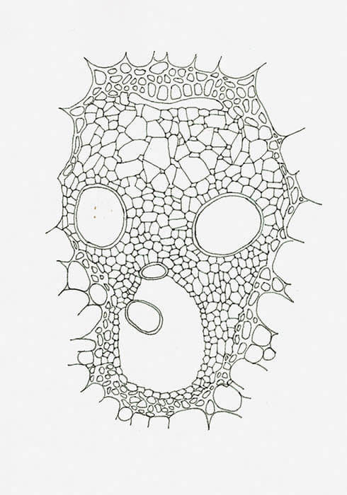 パーフェクト・カモフラージュ展　私はアートになりたい ワタリウム美術館-5