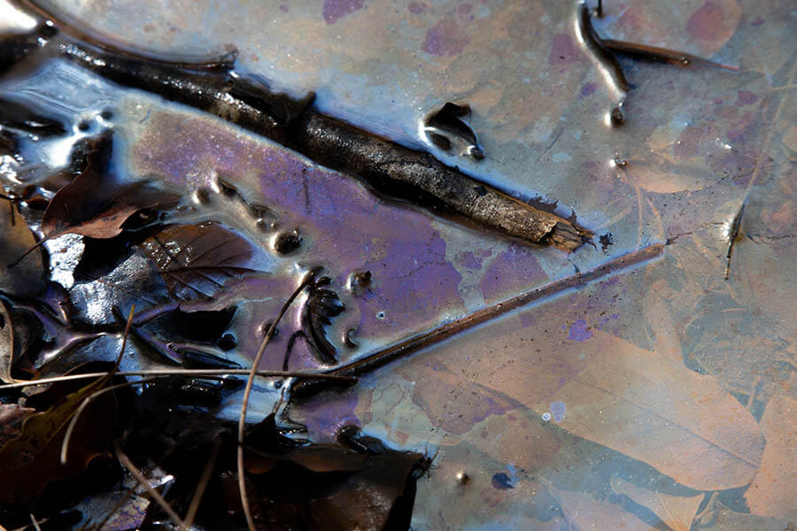 林智子 個展「そして、世界は泥である」 京都芸術センター-5