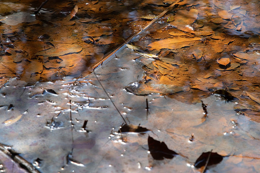 林智子 個展「そして、世界は泥である」 京都芸術センター-6